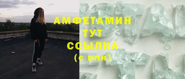 хмурый Алзамай