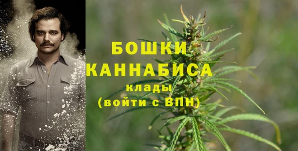 тгк Михайловск