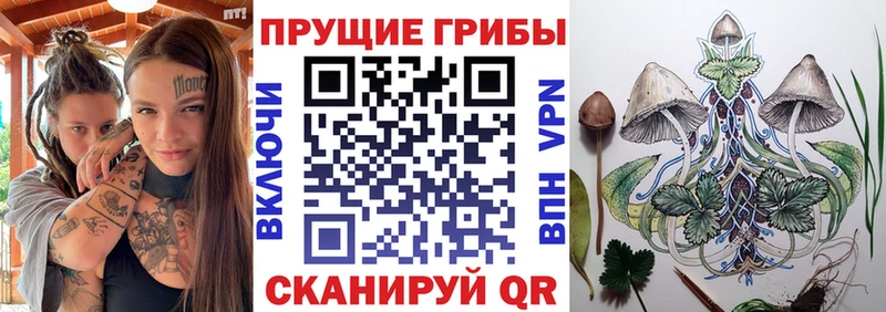 Псилоцибиновые грибы Psilocybine cubensis  Мостовской 